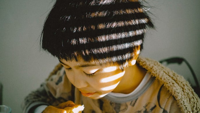 撮影写真