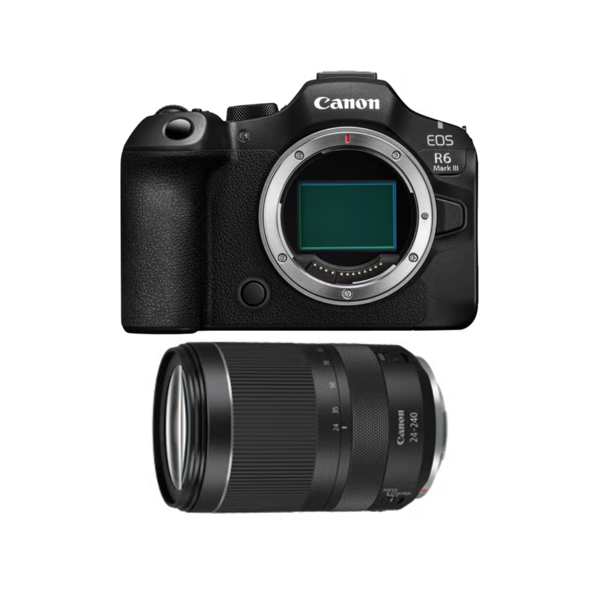 [レンタル] [卒業式・入学式] CANON EOS R6 Mark III ＆ RF24-240mm F4-6.3 IS USM 高倍率ズームレンズセット