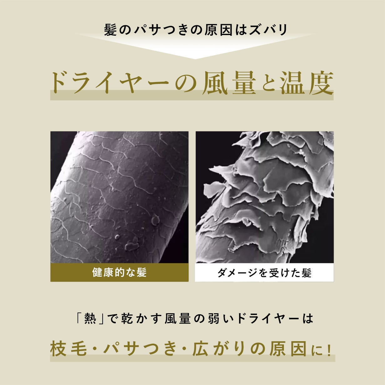 [レンタル] Noend エアーブロースティック - 7