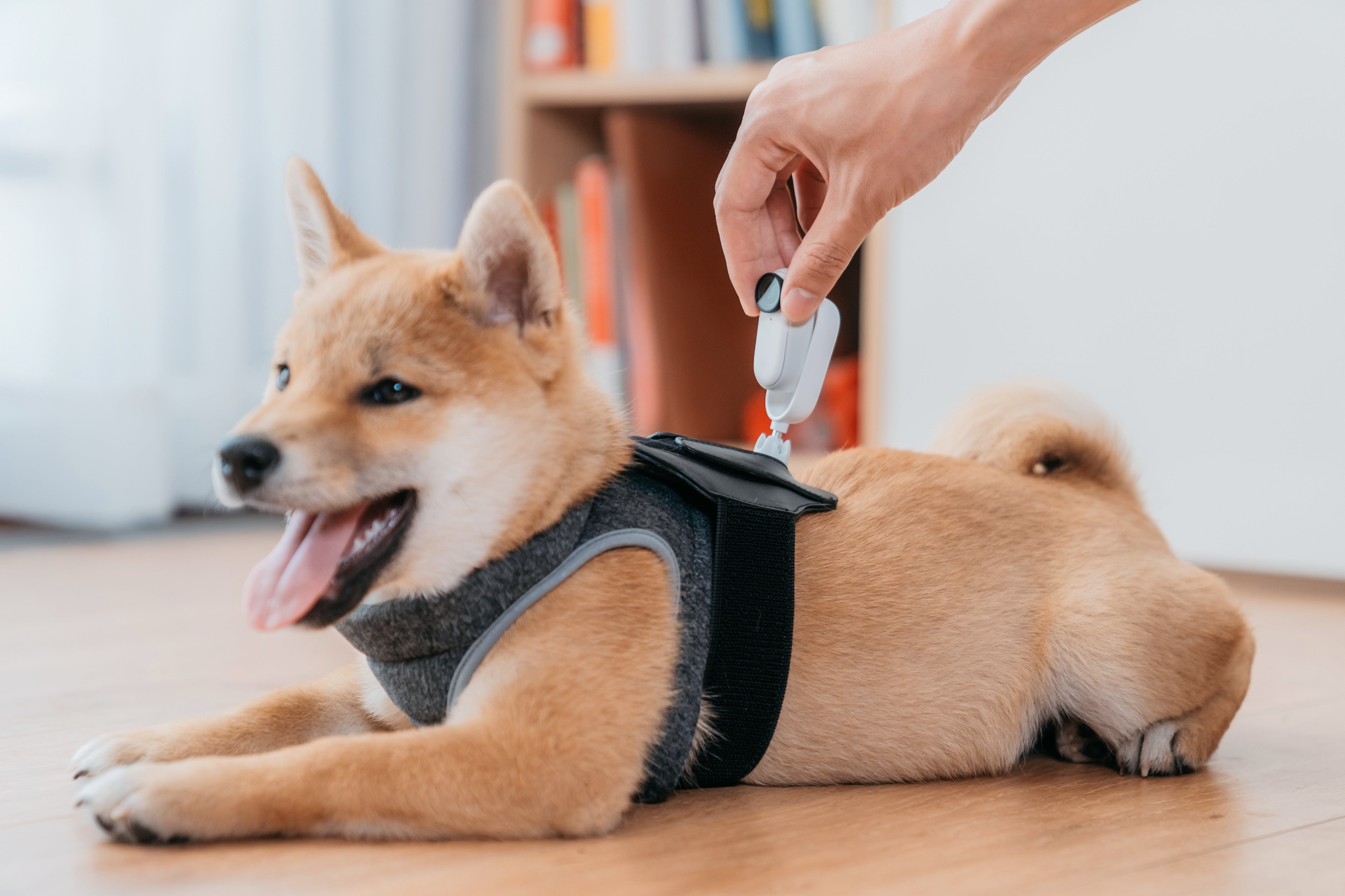 [レンタル] Insta360 GO 2 アクションカメラ - 3