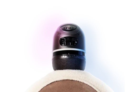 [レンタル] LOVOT 2.0(らぼっと) ソロ - 11