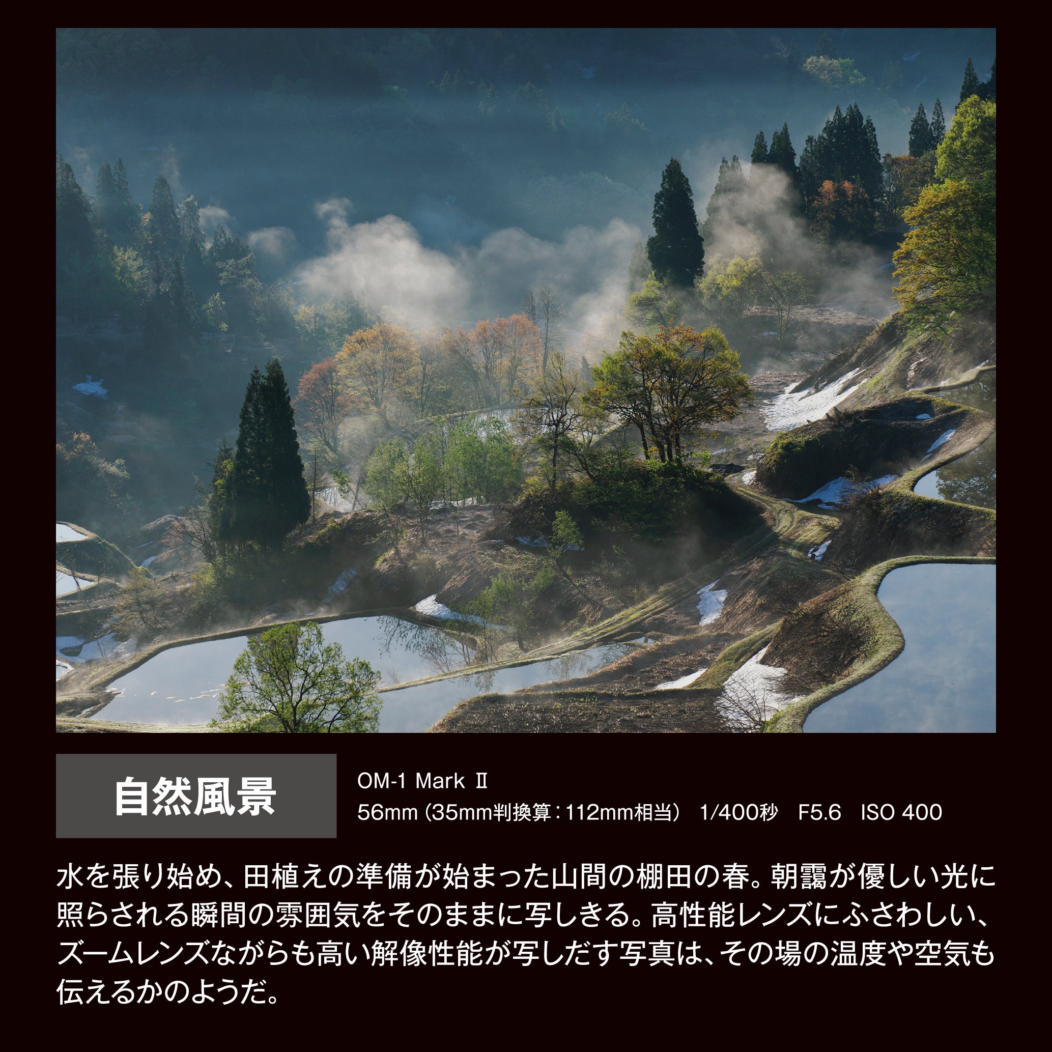 [レンタル] OM SYSTEM M.ZUIKO DIGITAL ED 50-200mm F2.8 IS PRO 超望遠ズームレンズ＋テレコンバーター MC-20 セット - 17