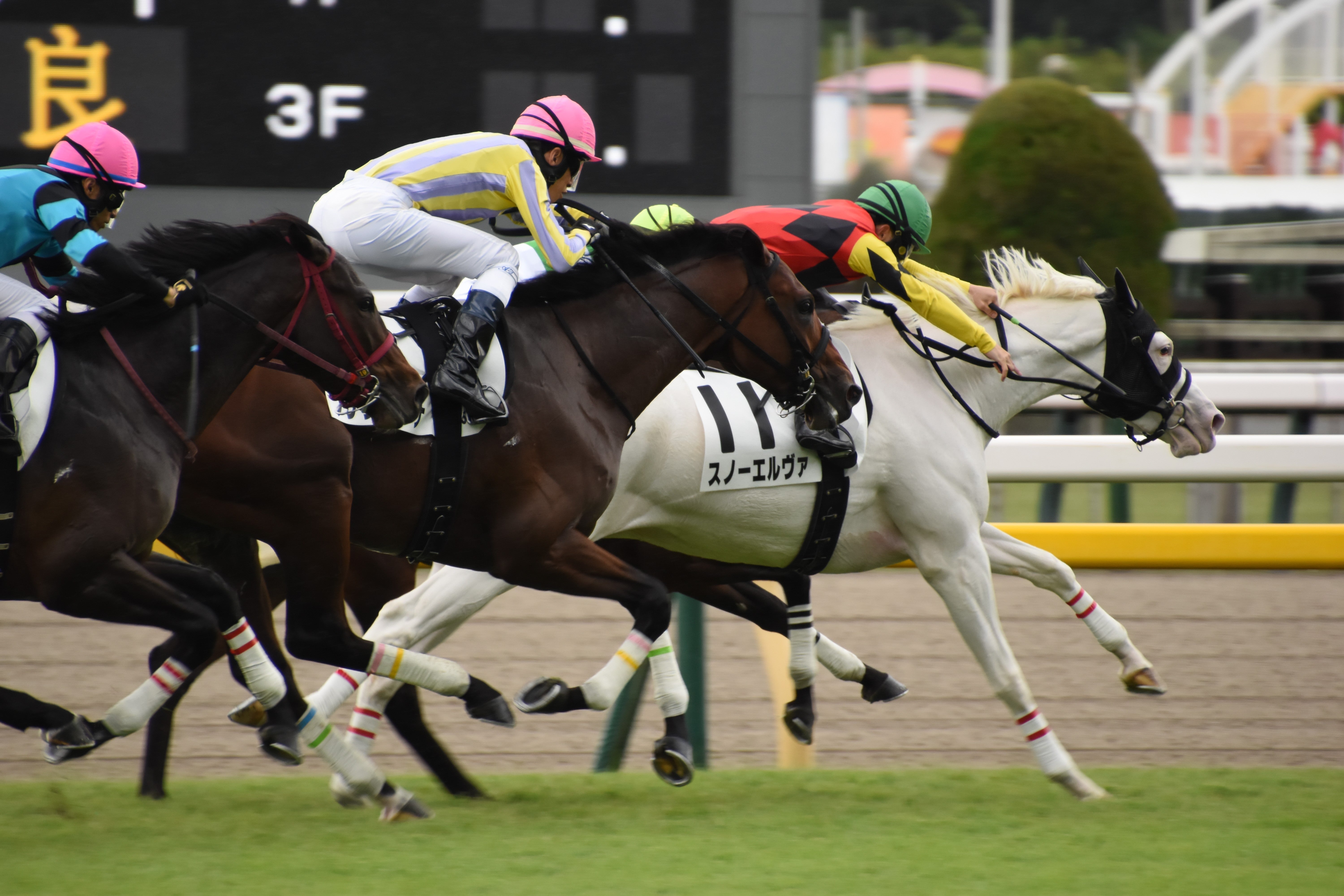 レンタル] タムロン 18-400mm F/3.5-6.3 Di II VC HLD(Model B028N) 高