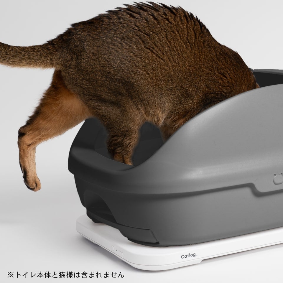 レンタル] 第2世代 Catlog Board2(キャトログボード2) ボード型IoT