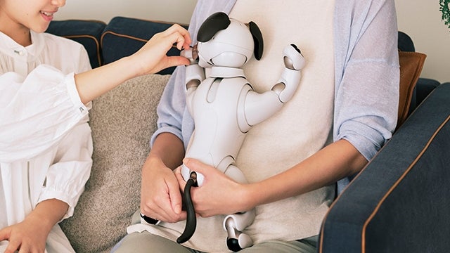 [レンタル] ソニー エンタテインメントロボット aibo アイボリーホワイト 足裏パッド付き - 7