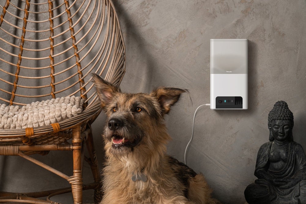 [レンタル] Modernity Petcube Bites 2 Lite BL10US 室内用ペット見守りカメラ - 6