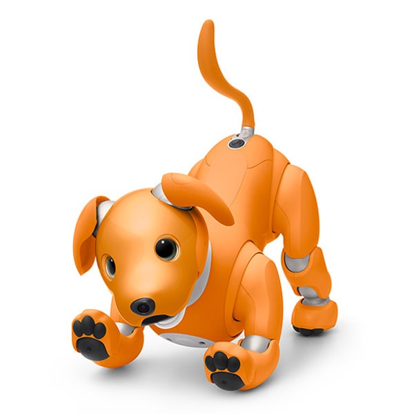 ソニー エンタテインメントロボット aibo キャラメルエディション 足裏パッド付き