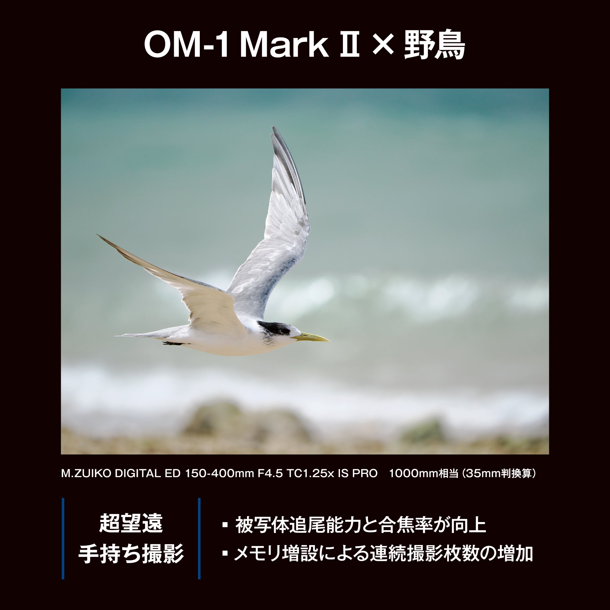 [レンタル] OM SYSTEM OM-1 Mark II ボディ ミラーレス一眼 - 18