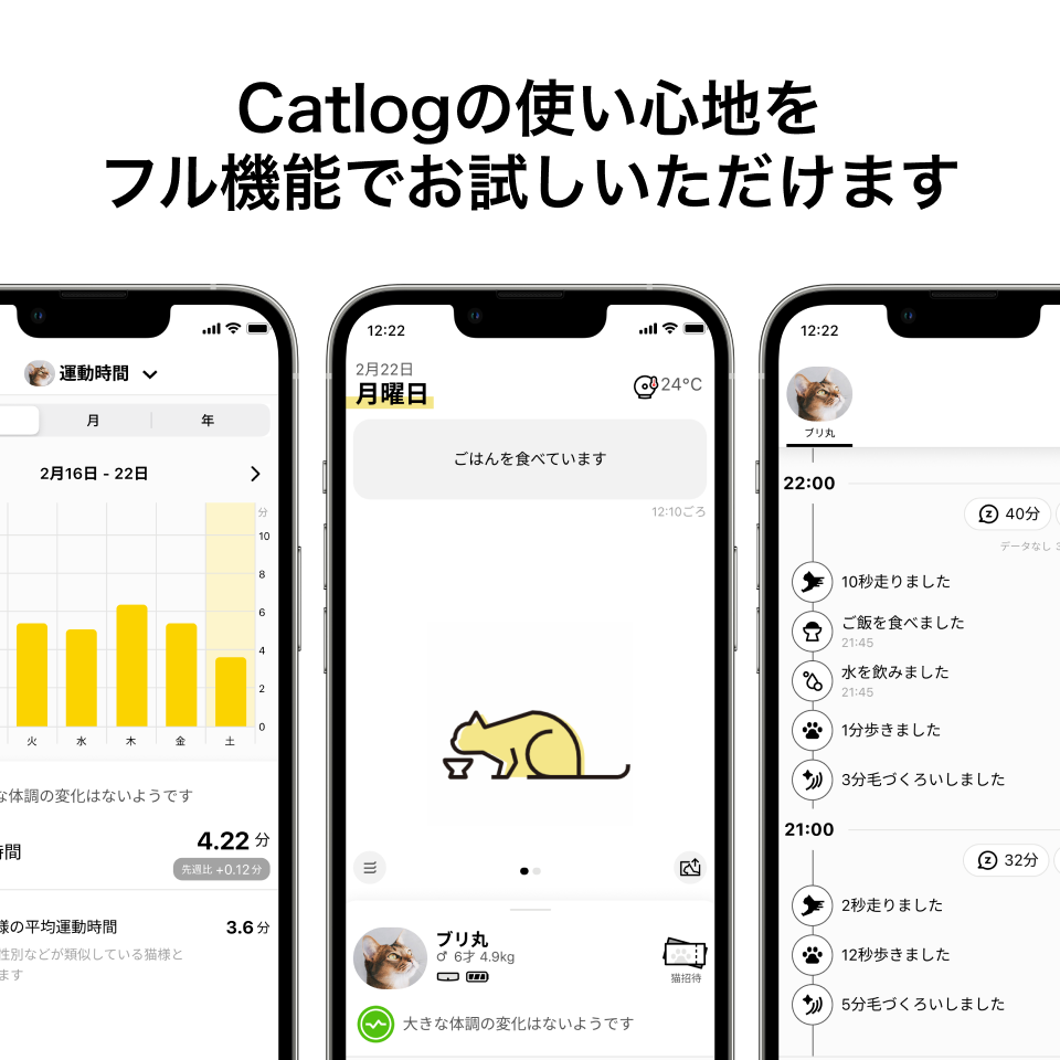[レンタル] [色はランダムでお届け]Catlog（キャトログ）基本セット 第一世代 - 3