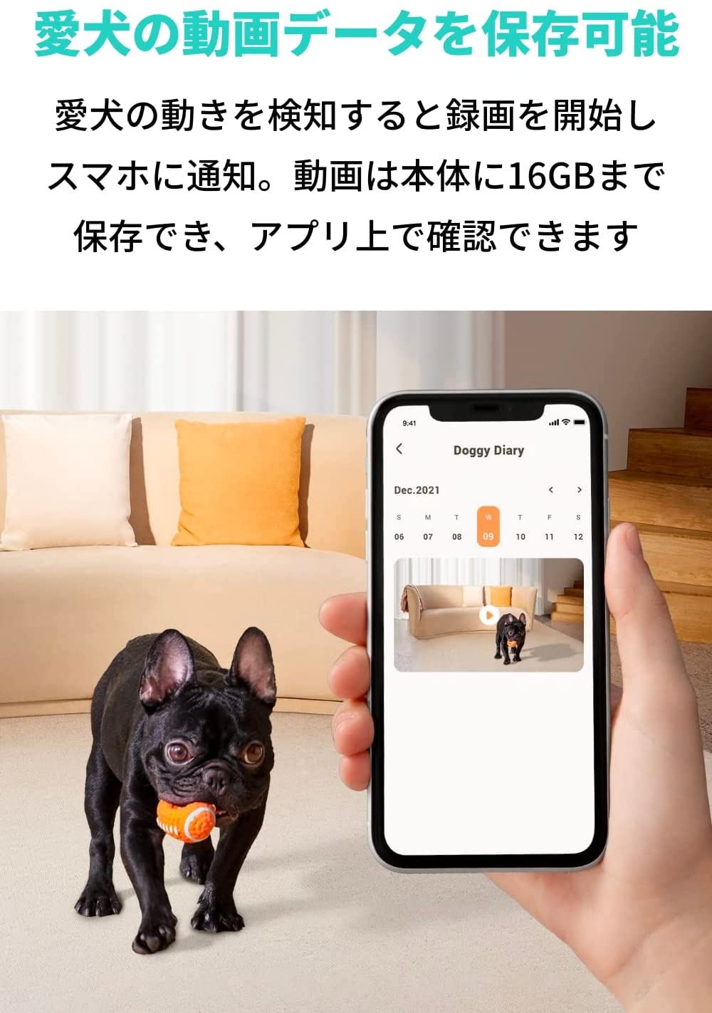 [レンタル] Anker Eufy Dog Camera D605 ペットカメラ - 4