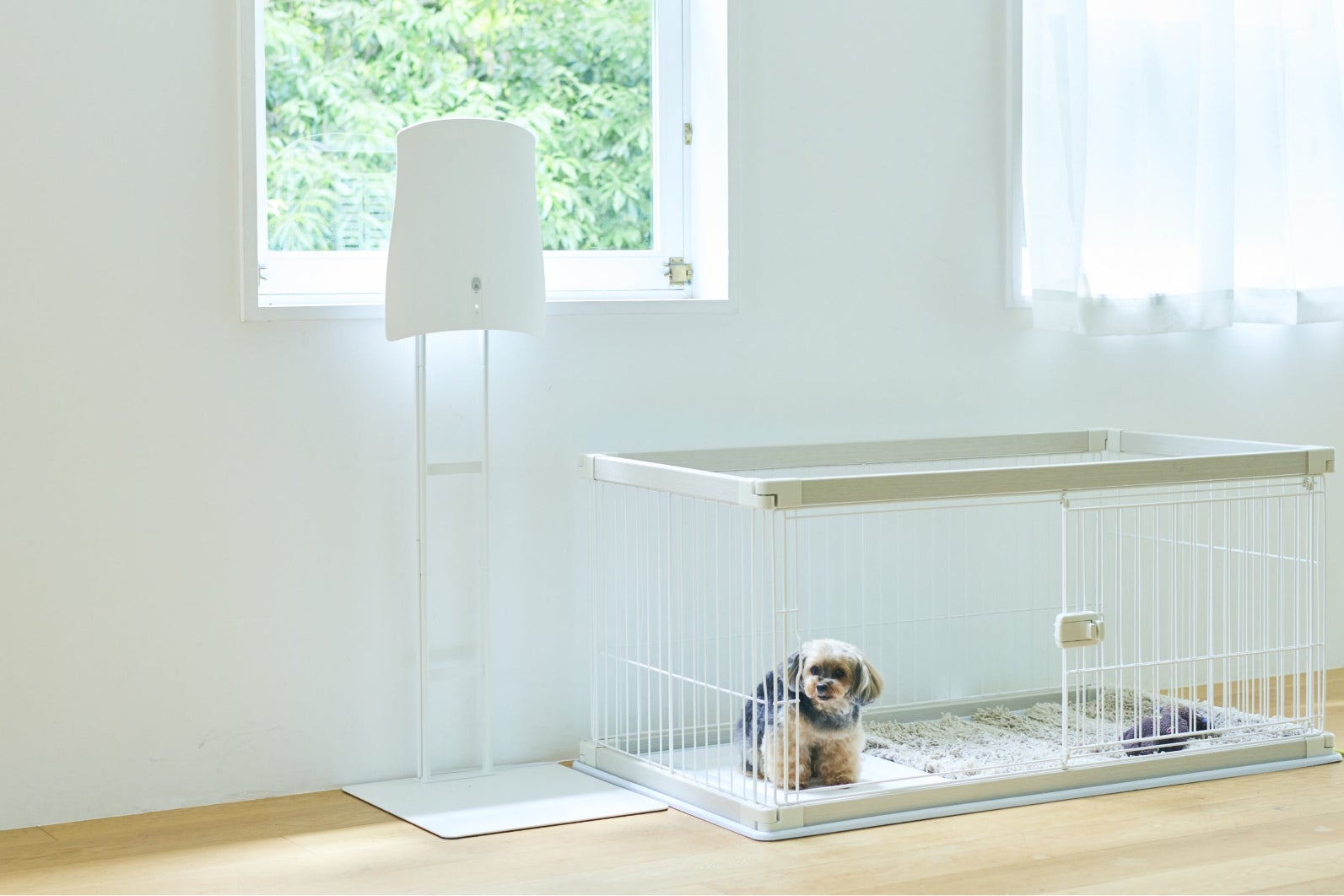 [レンタル] サンスター QAIS-air- 04A1J ペット専用の除菌脱臭機 専用スタンドセット - 10