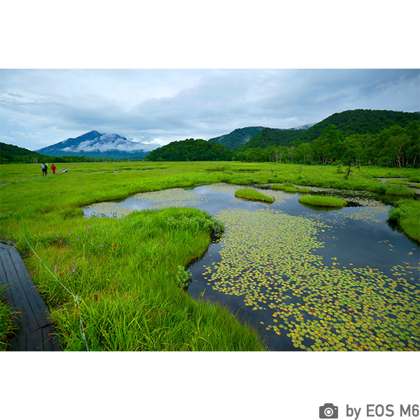 [レンタル] CANON EOS M6 EF-M15-45mmレンズキット(ブラック) ミラーレス一眼 - 5