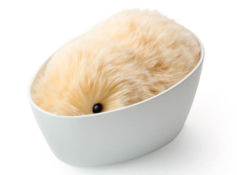 [レンタル] カシオ CASIO Moflin モフリン AIペットロボット - 3