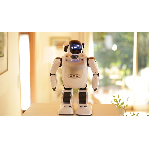 [レンタル] Palmi (パルミー) 二足歩行 コミュニケーション ロボット - 3
