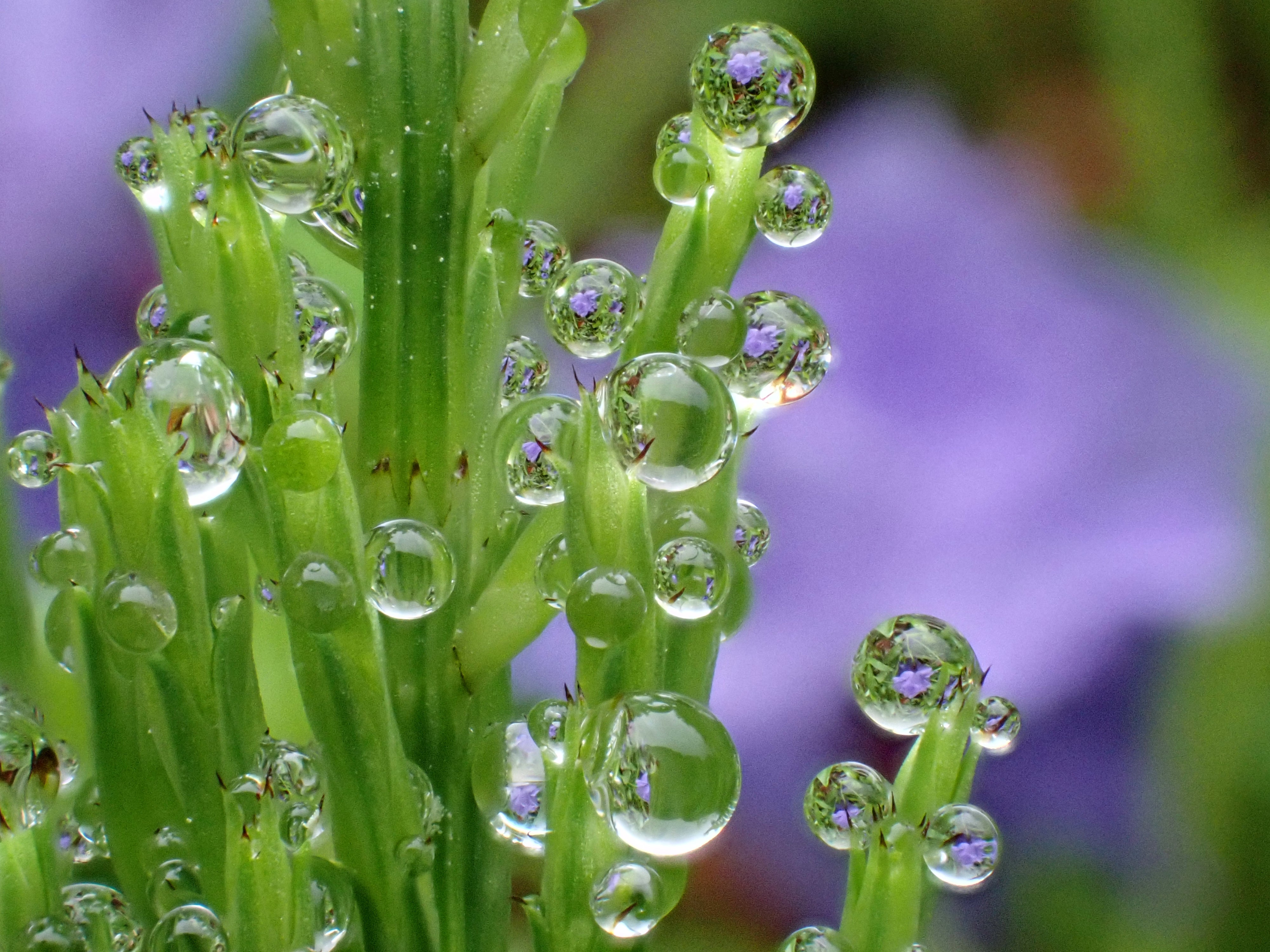 [レンタル] OM SYSTEM 防水カメラ Tough TG-7 コンパクトデジタルカメラ - 19