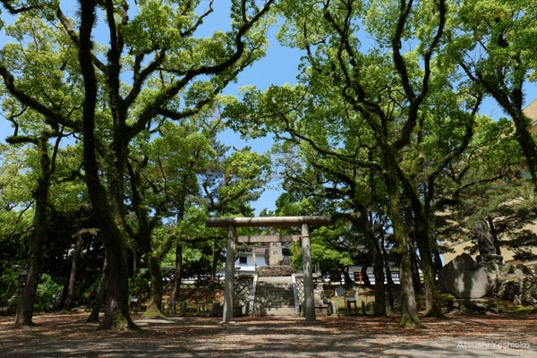 [レンタル] パナソニック LUMIX DC-S5 標準ズームレンズキット ミラーレス一眼 - 7