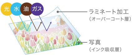 [レンタル] CANON(キヤノン) SELPHY CP1300 コンパクトフォトプリンター ホワイト - 8