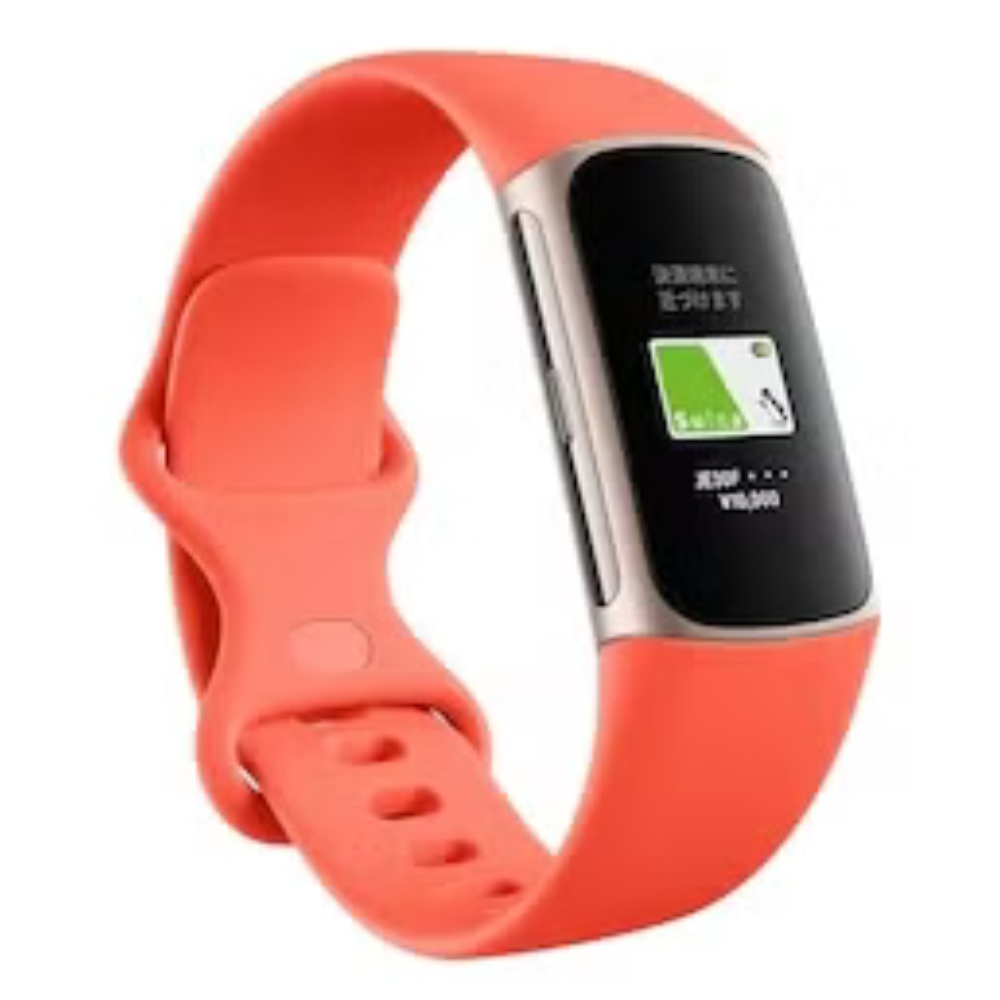 [レンタル] Fitbit Charge 6 スマートウォッチ