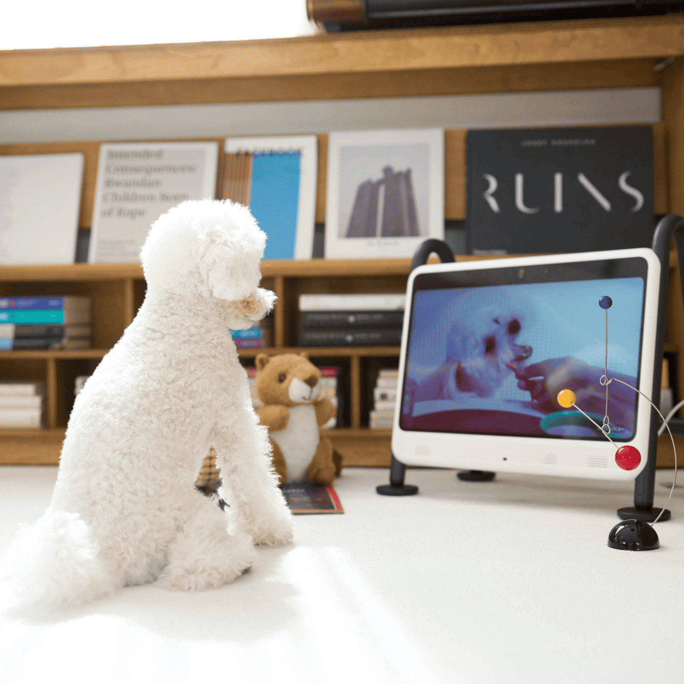 [レンタル] サニーウェーブテック Dogsplay 犬用ディスプレイ - 7