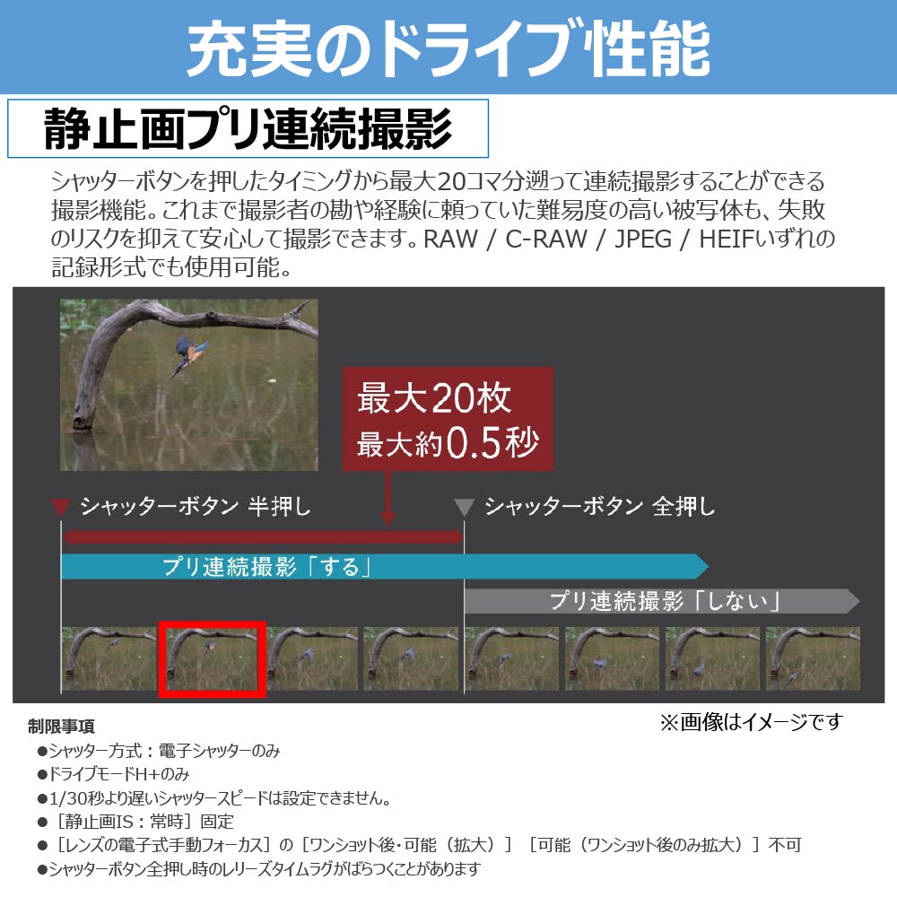 [レンタル] CANON EOS R8 Mark II ボディ ミラーレス一眼 - 7