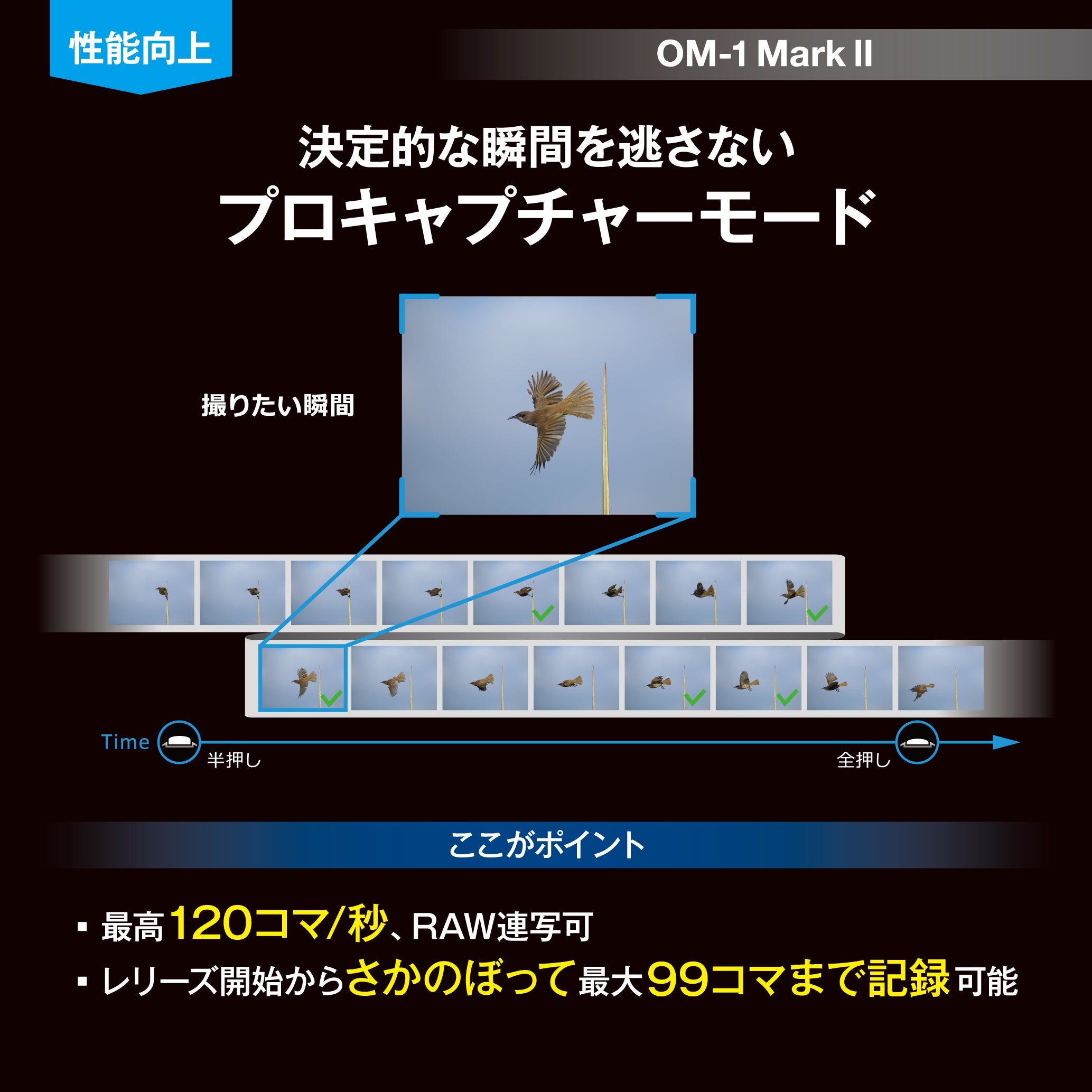 [レンタル] OM SYSTEM OM-1 Mark II 12-45mm F4.0 PRO レンズキット - 6