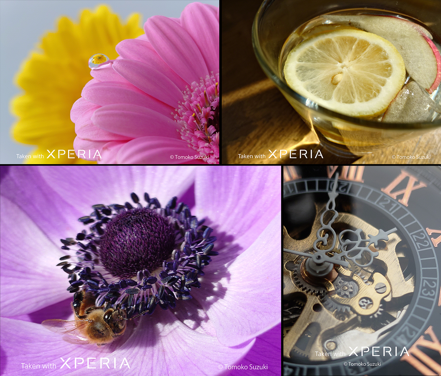 [レンタル] 推し活・特典会・撮可ライブ向け ソニー Xperia 1 VII SIMフリーモデル（12GB/512GBタイプ）スマートフォン - 11