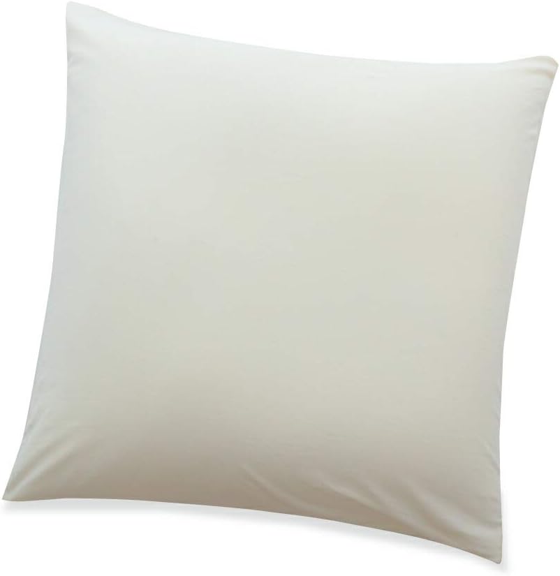 王様の夢枕 BIG 枕