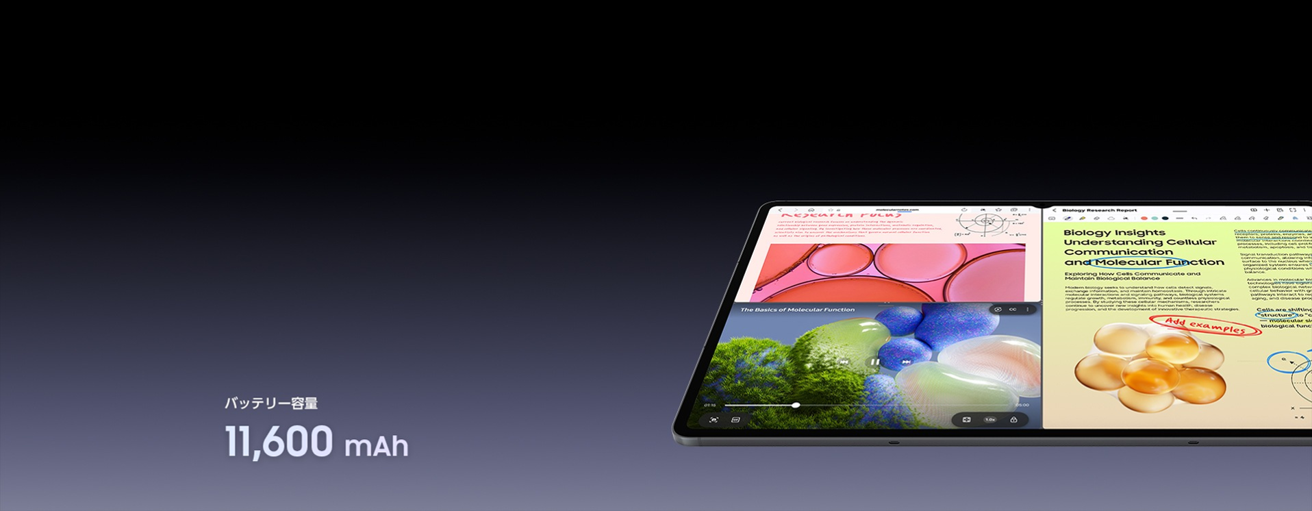 サムスン(Samsung) Galaxy Tab S12 Ultra (Wi-Fi, 14.6インチ) 11,600mAhの大容量バッテリー - 9