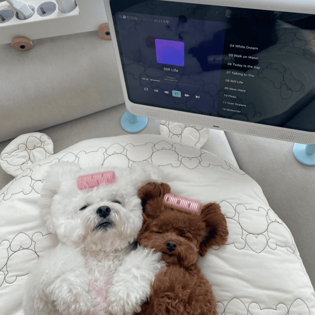 [レンタル] サニーウェーブテック Dogsplay 犬用ディスプレイ - 6