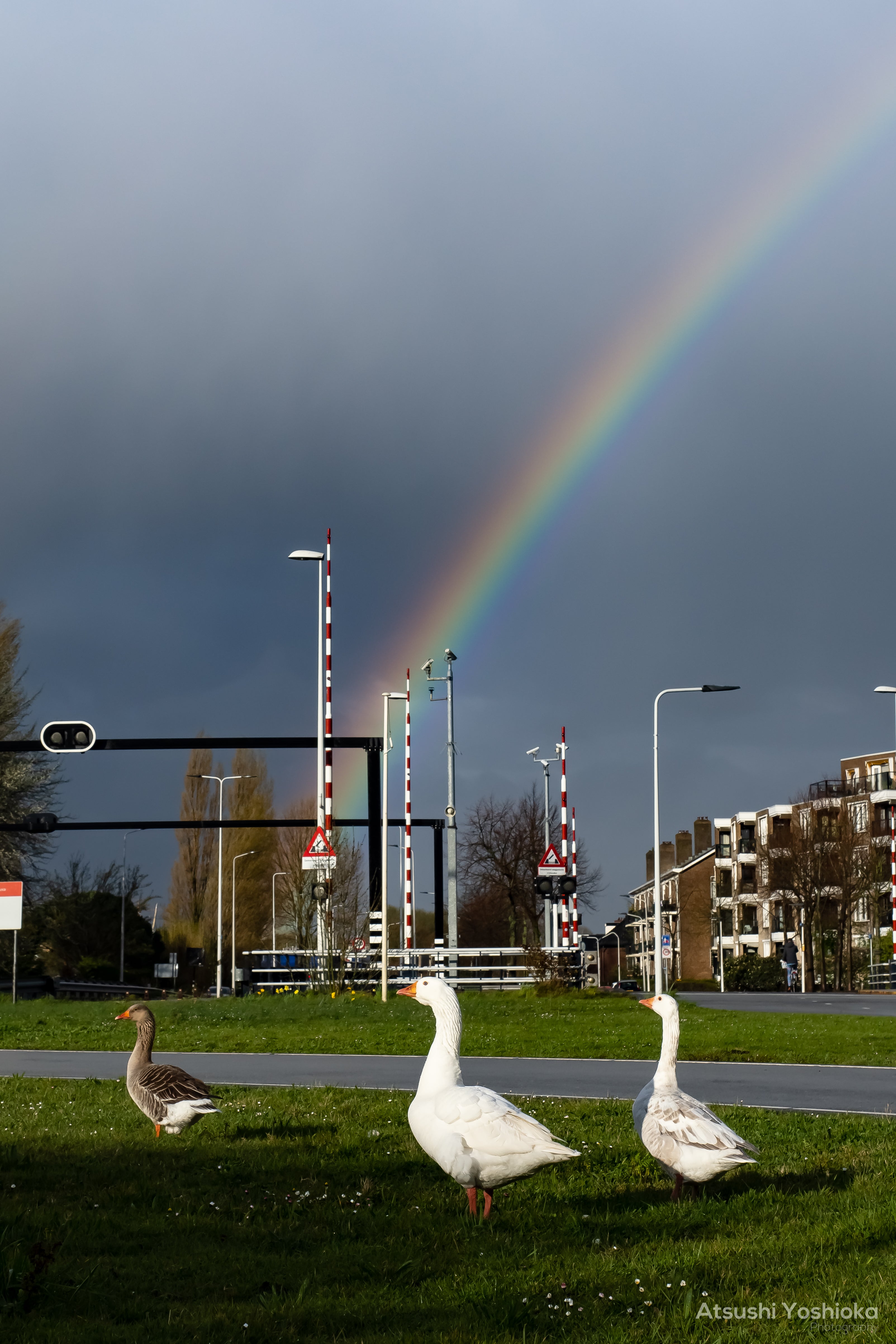 [レンタル] OM SYSTEM OM-1 ボディ ミラーレス一眼 - 8