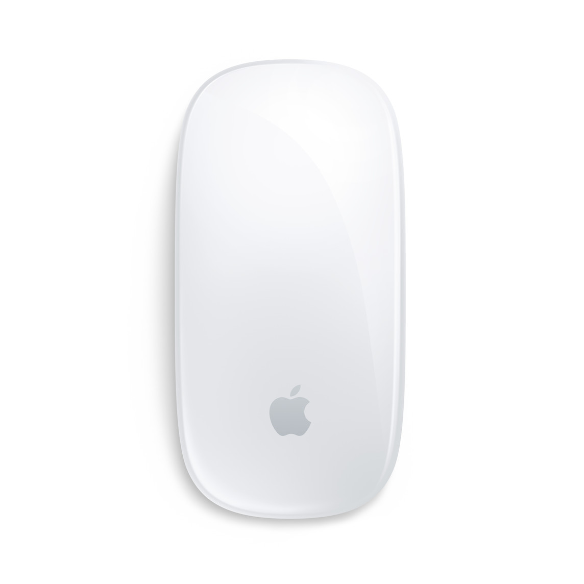 [レンタル] Apple Magic Mouse （Multi-Touch対応）MXK53ZA/A
