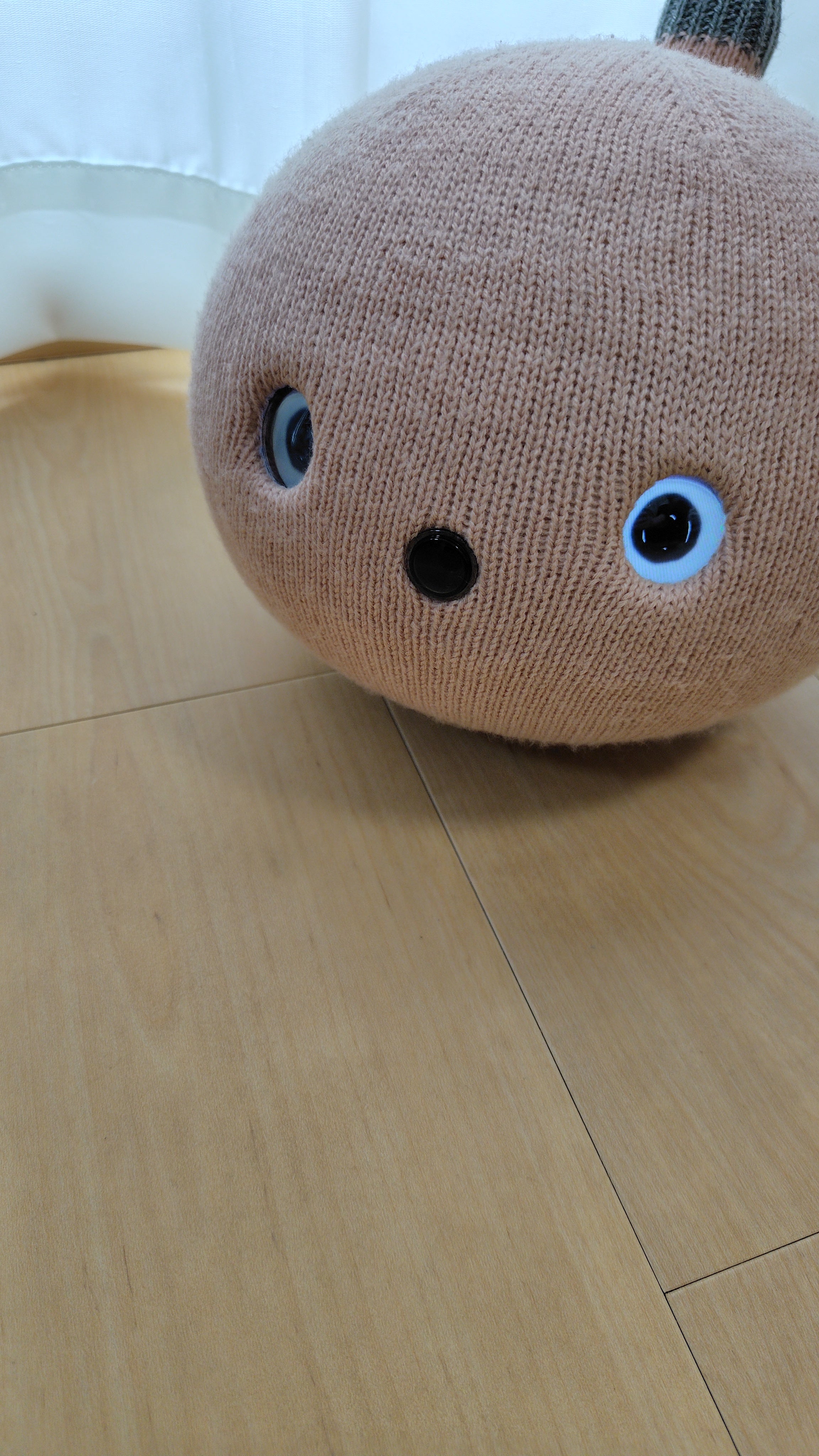 NICOBO シェルピンク 0al1c1uw6i1syurgrn6ok7suo8km