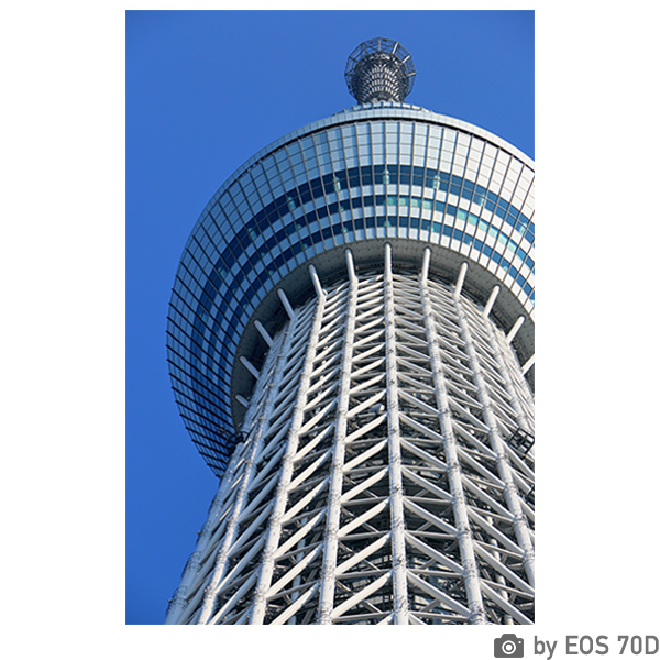 [レンタル] CANON EOS 70D ボディ 一眼レフ - 5