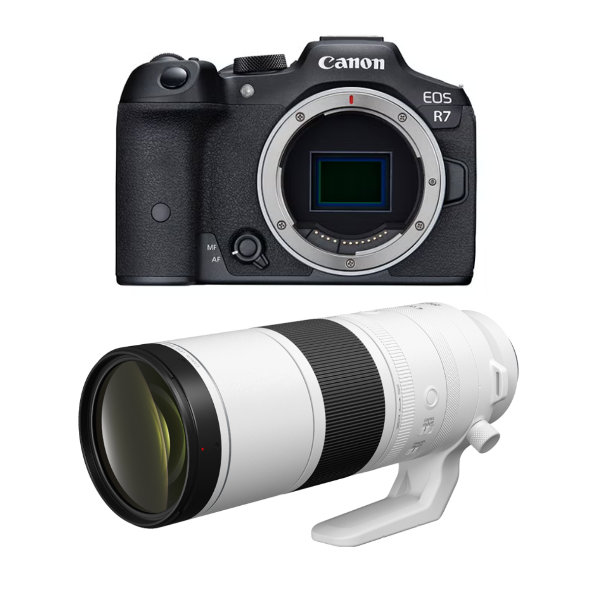 [飛行機・野鳥]CANON EOS R7 ＆ RF200-800mm F6.3-9 IS USM 超望遠ズームレンズセット