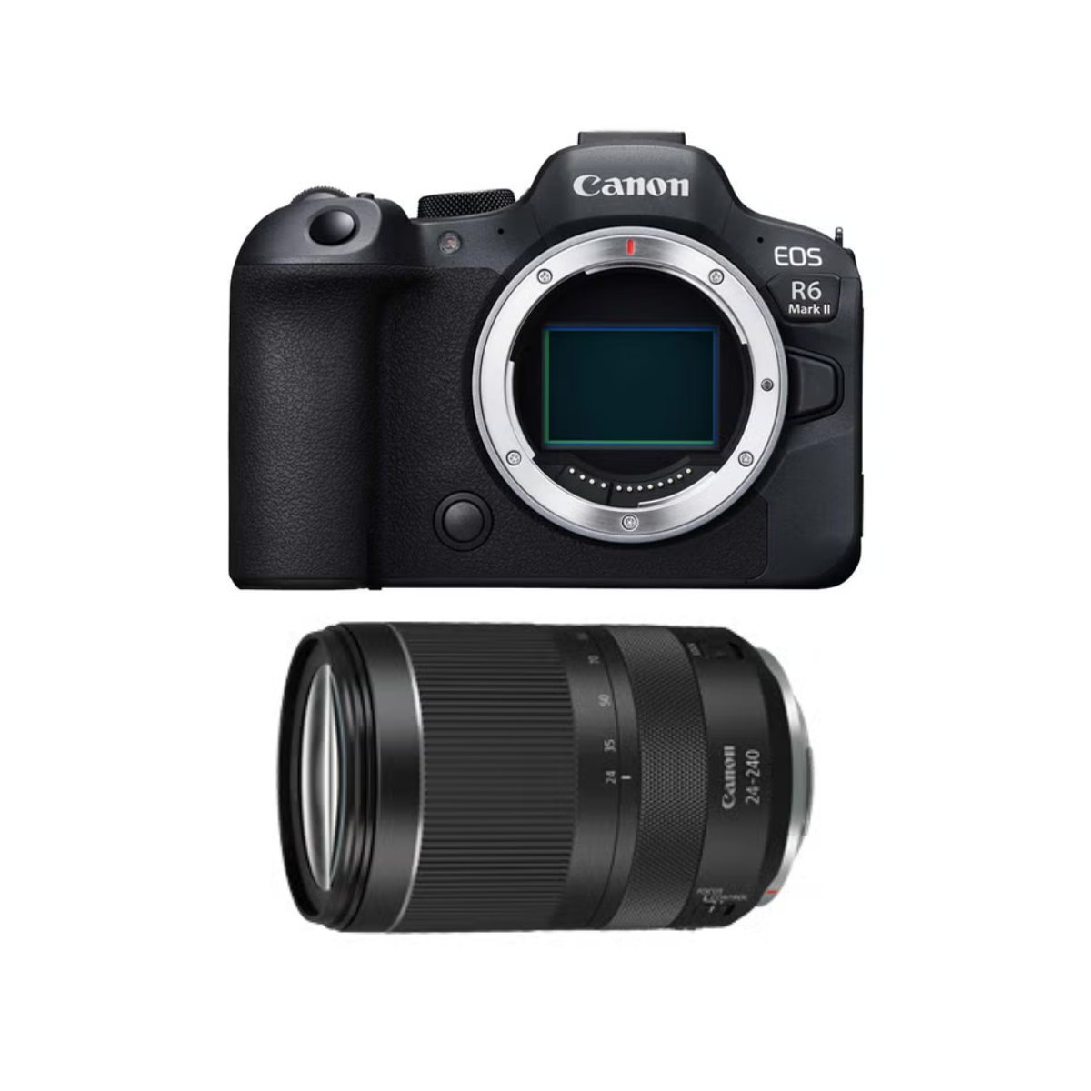 [レンタル] [卒業式・入学式] CANON EOS R6 Mark II ＆ RF24-240mm F4-6.3 IS USM 高倍率ズームレンズセット