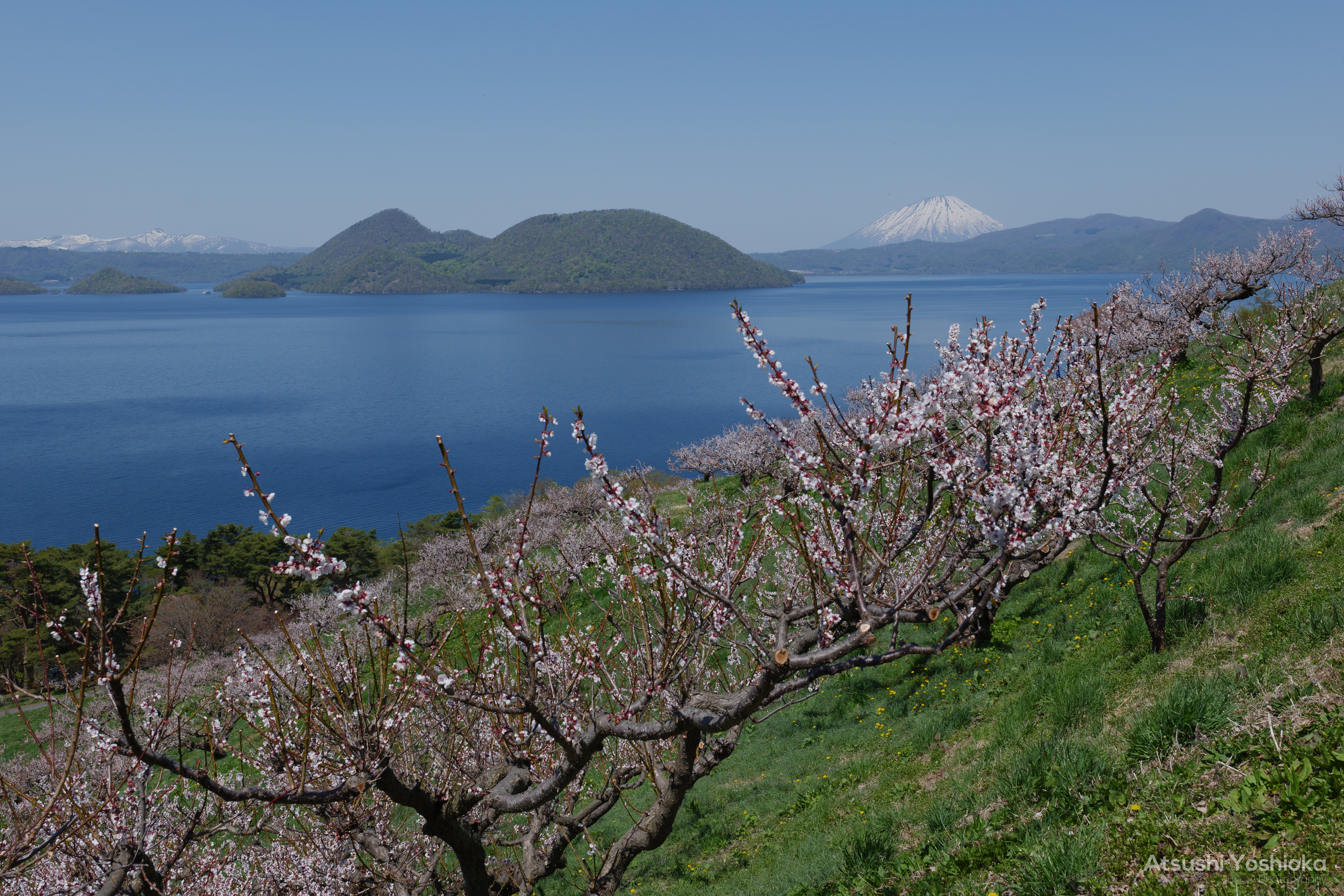 [レンタル] パナソニック LUMIX DC-S1 ボディ ミラーレス一眼 - 5