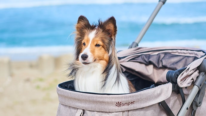 [レンタル] コンビ ペット用カート ルルテイル - 5