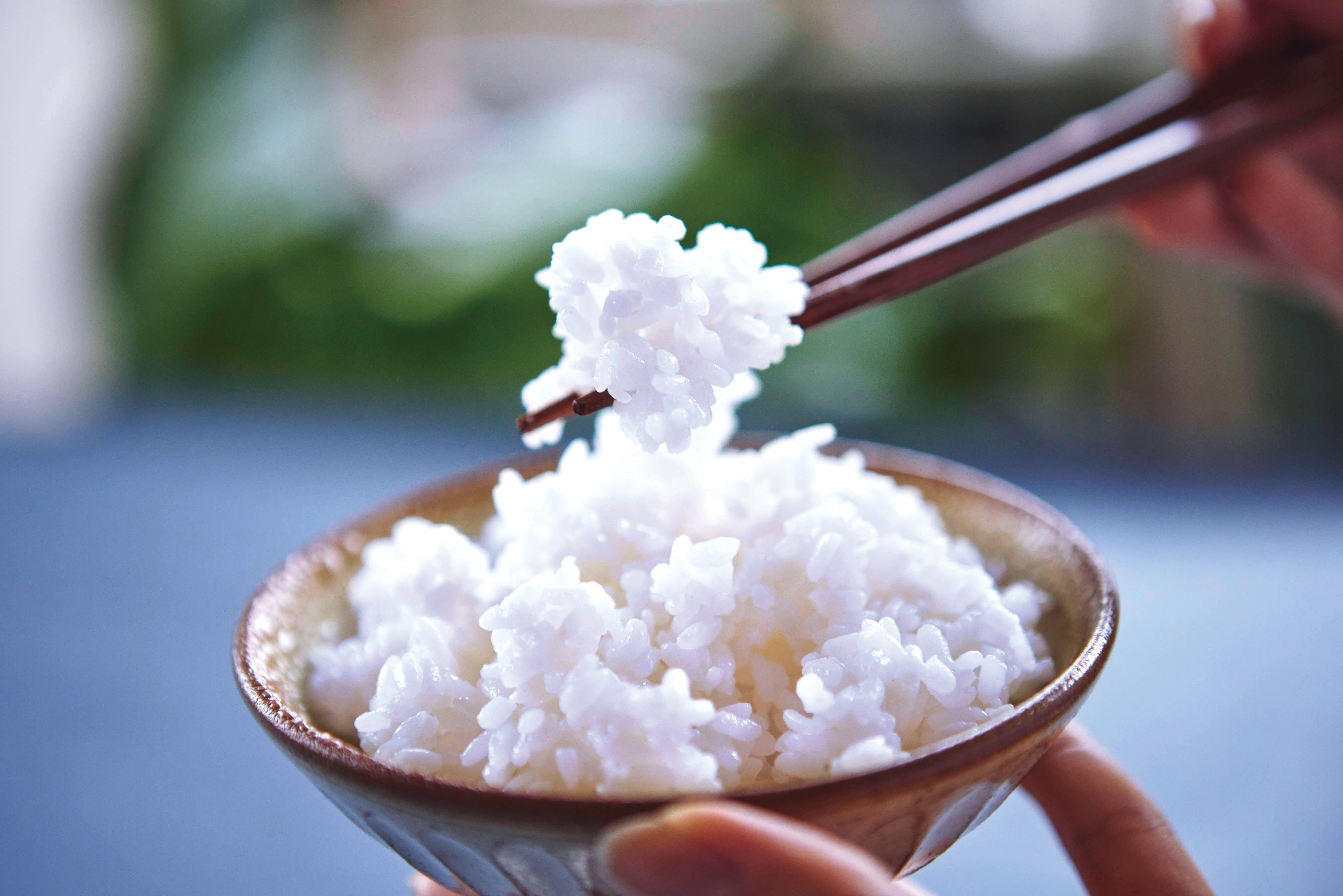 [レンタル] デリソフター DS-1C（炊飯器・電気圧力鍋・やわらか食調理器） - 28