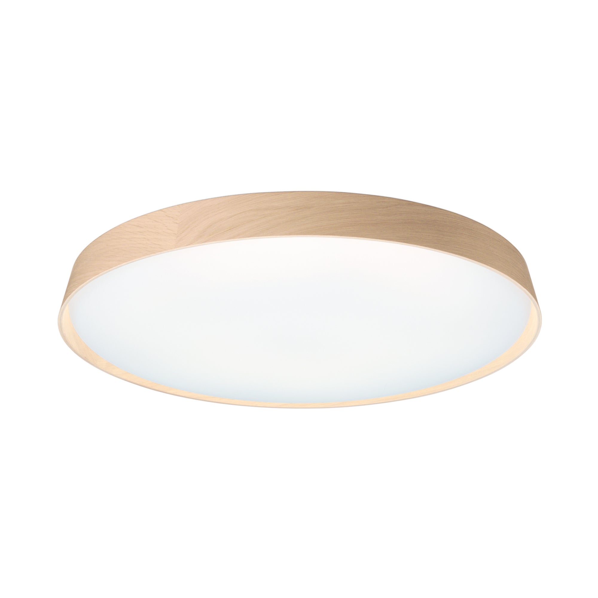 天井照明のレンタル