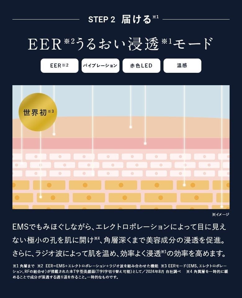 [レンタル] アンファー ディズム EMS EER メディスキンケアデバイス - 5
