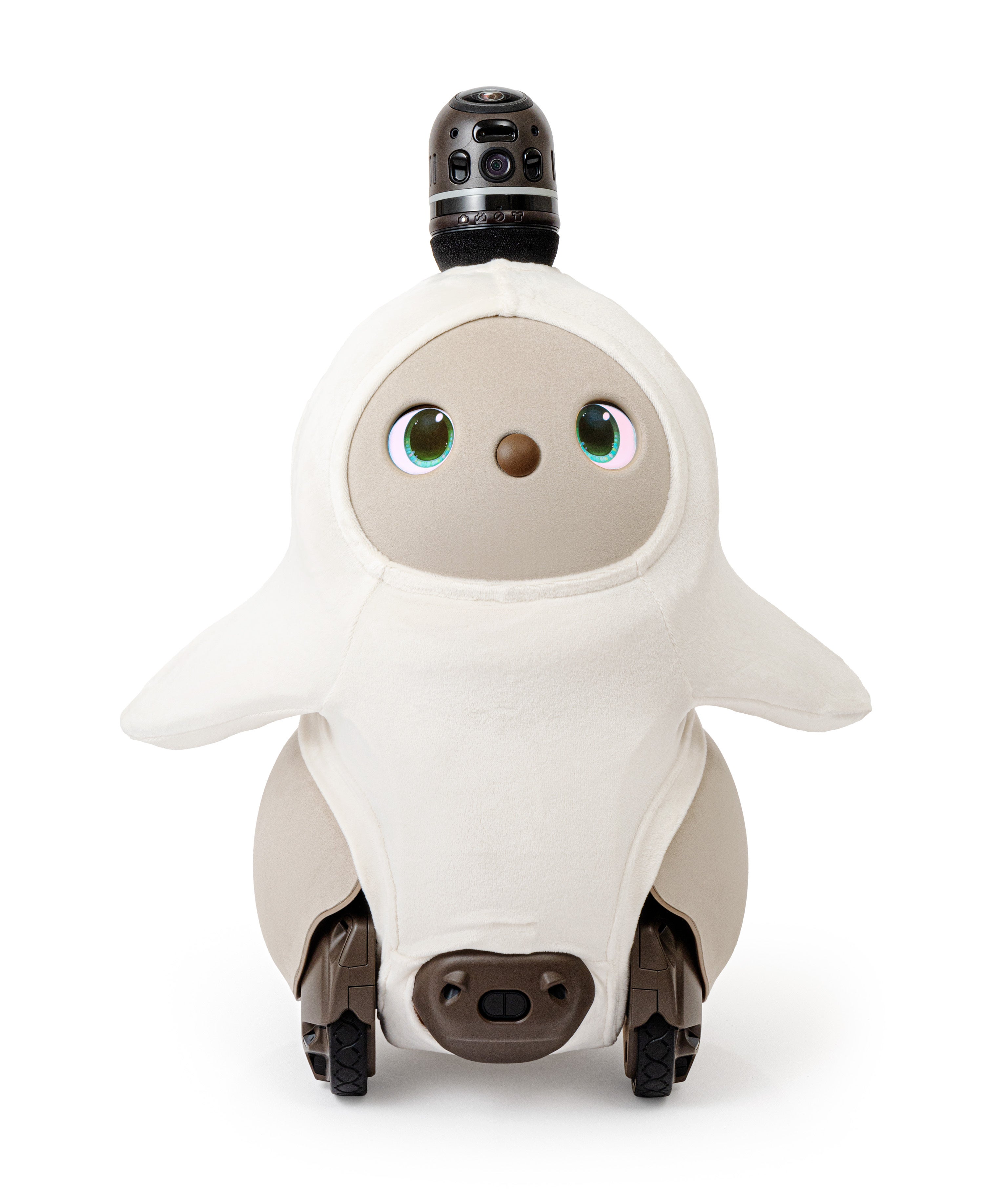 レンタル] LOVOT 2.0(らぼっと) ソロ ちゃ - Rentio[レンティオ]