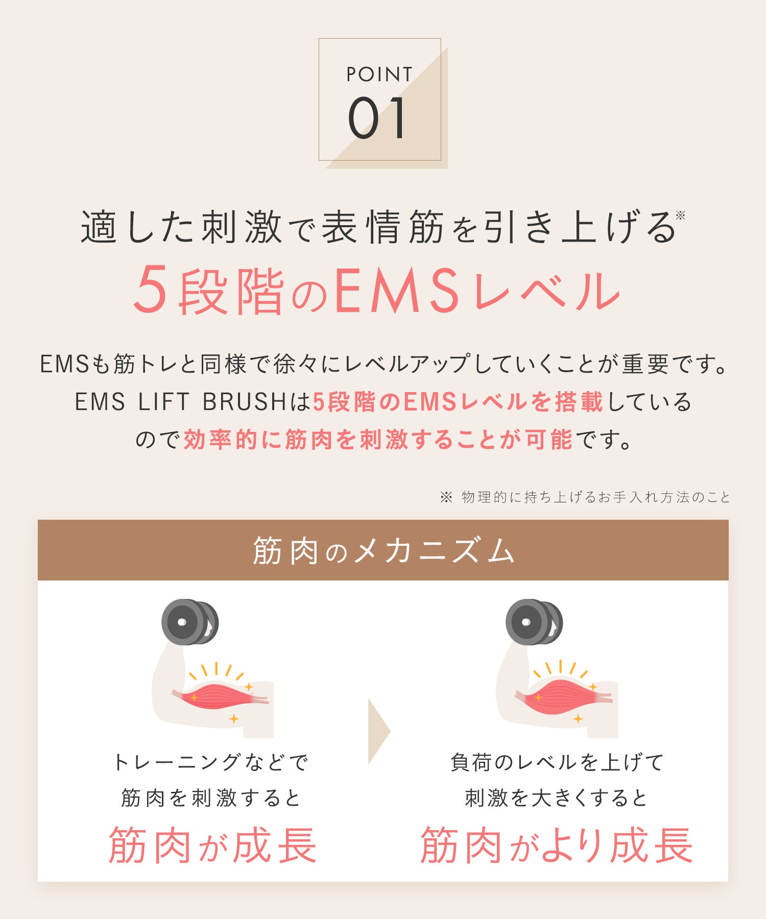 [レンタル] SALONIA サロニア EMSリフトブラシ 電気ブラシ 美顔器 - 12