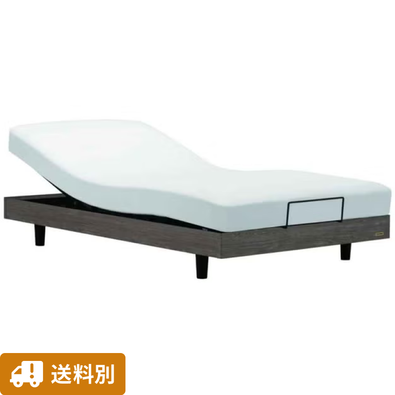 【送料別 / シングル】フランスベッド ヘッドボードなし電動リクライニングベッド(マットレス付き)FAD-FF LG-RX シングルサイズ