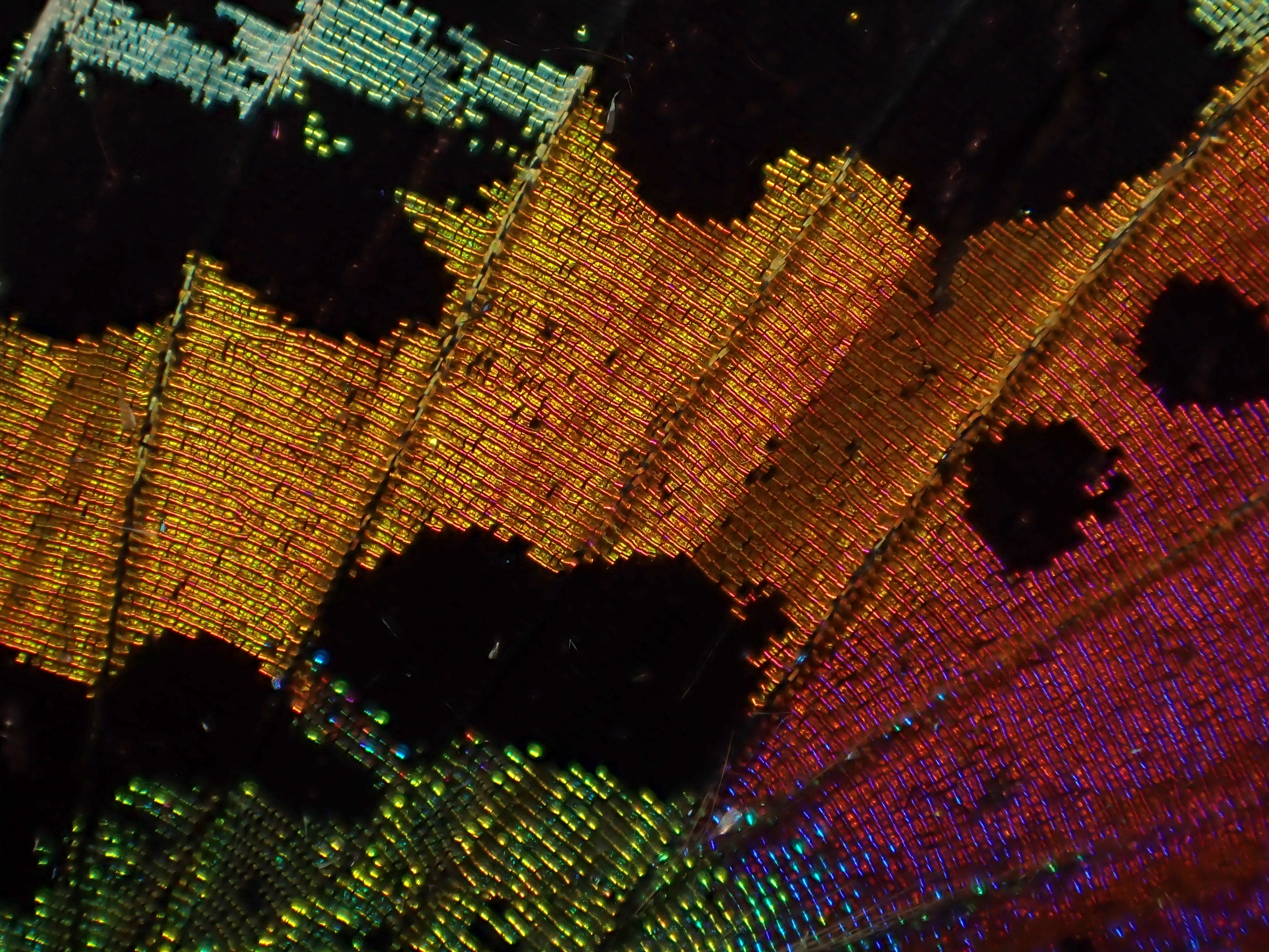 [レンタル] OM SYSTEM 防水カメラ Tough TG-7 コンパクトデジタルカメラ - 17