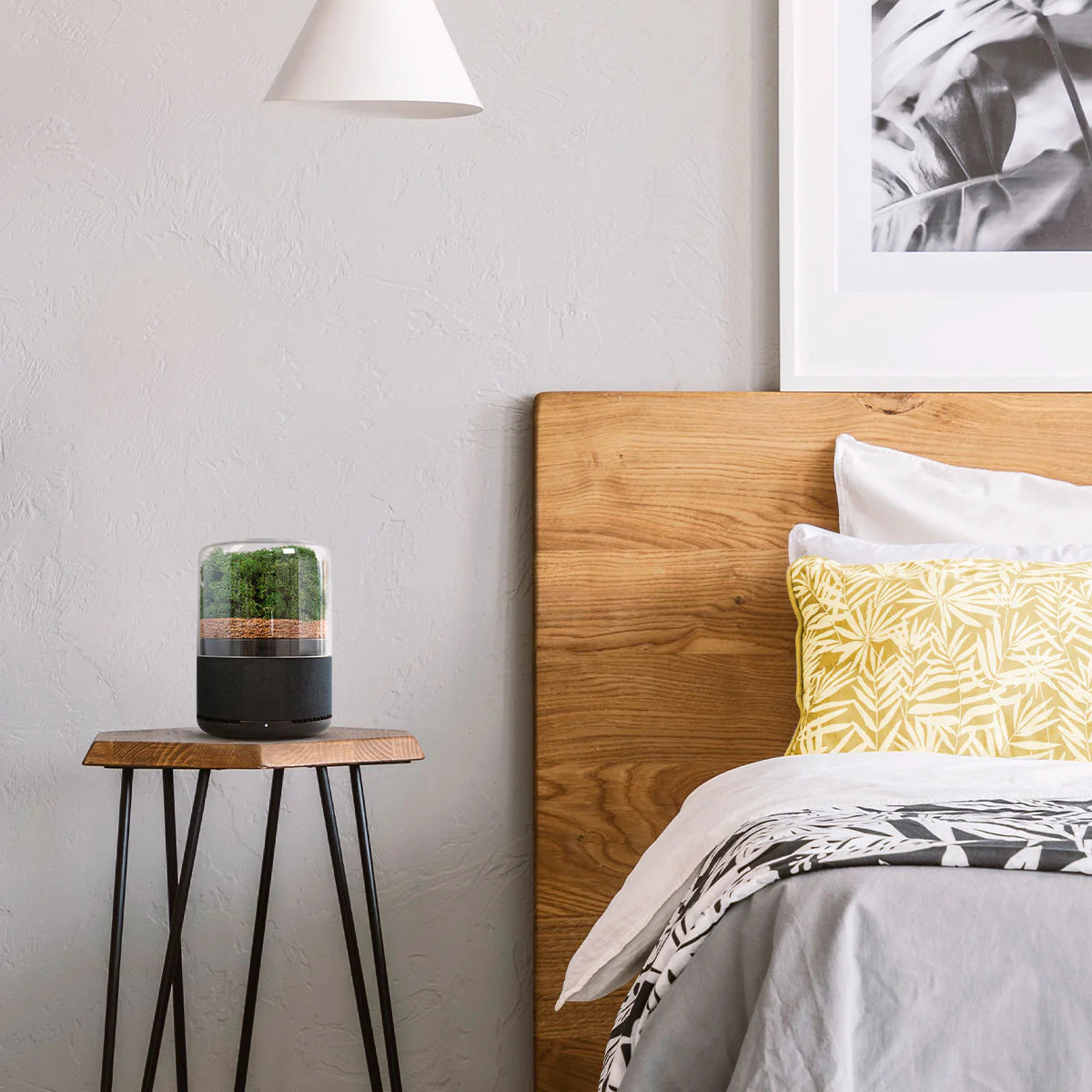 [レンタル] FIVE Create Briiv(ブリーヴ) 空気清浄機 - 2