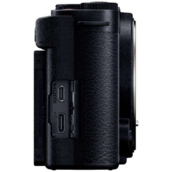 [レンタル] パナソニック LUMIX DC-S9 ボディ ミラーレス一眼 - 7