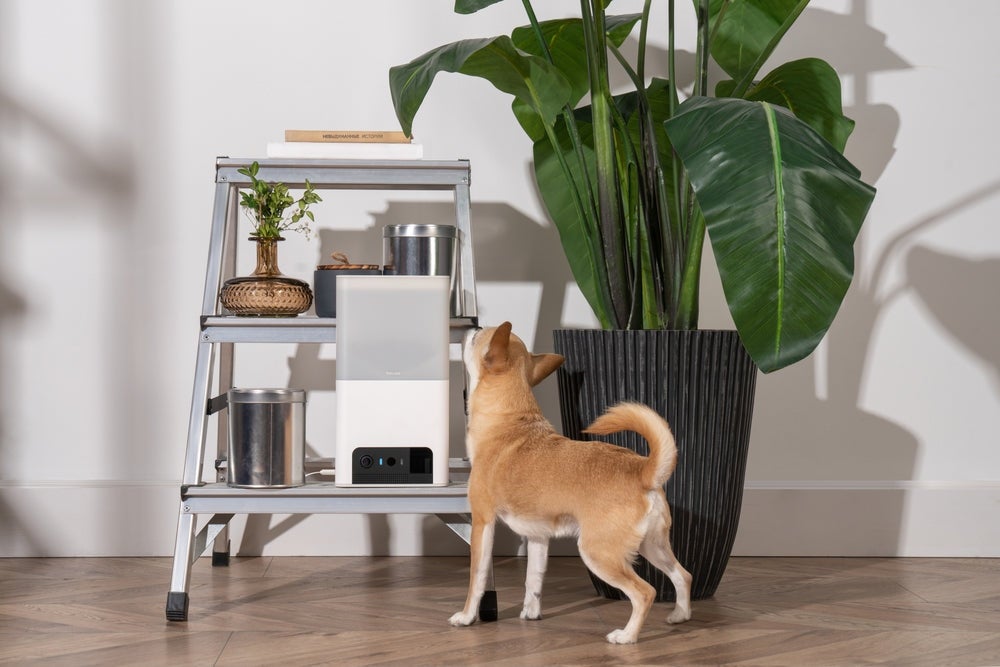 [レンタル] Modernity Petcube Bites 2 Lite BL10US 室内用ペット見守りカメラ - 7