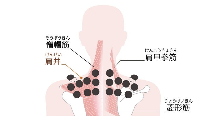 [レンタル] パナソニック 高周波治療器 コリコランワイド３Ｄ（肩専用）EW-RA560 - 6