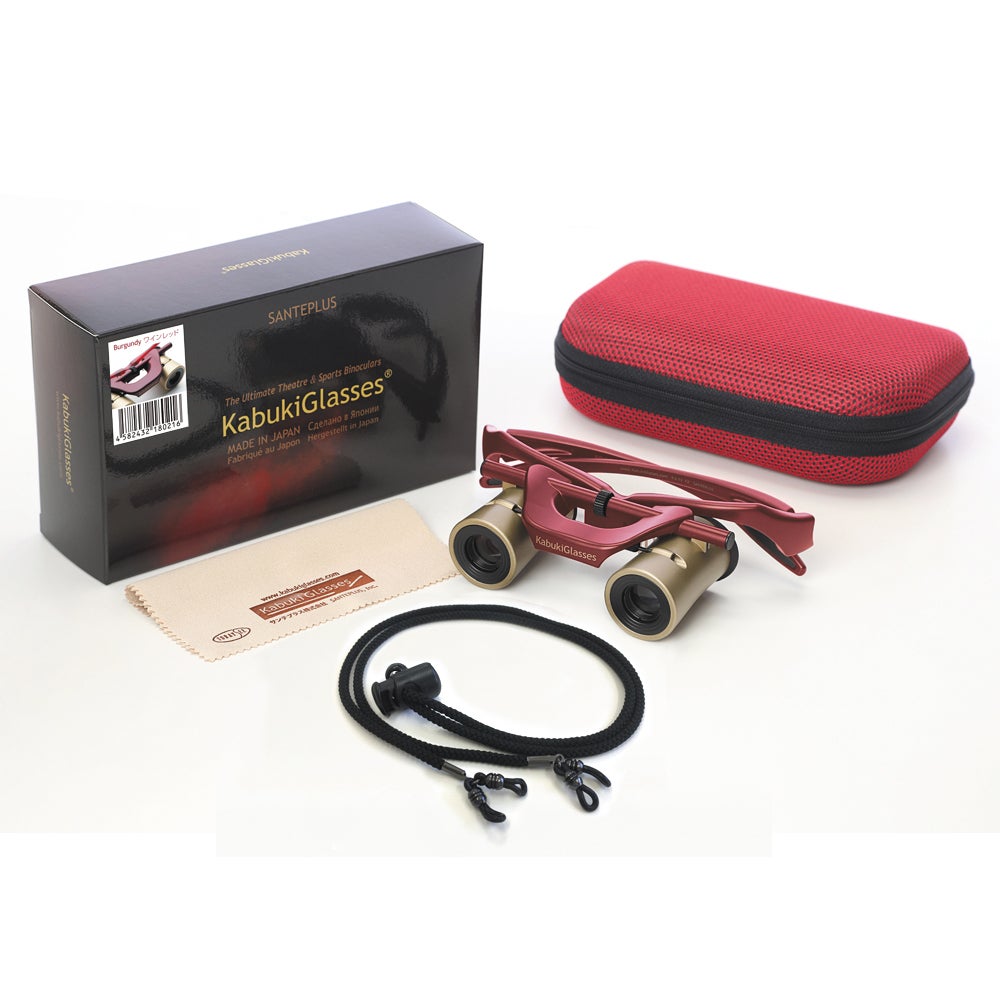 [レンタル] [倍率4倍] カブキグラス（度付き版）視力0.1～0.2用 - 5