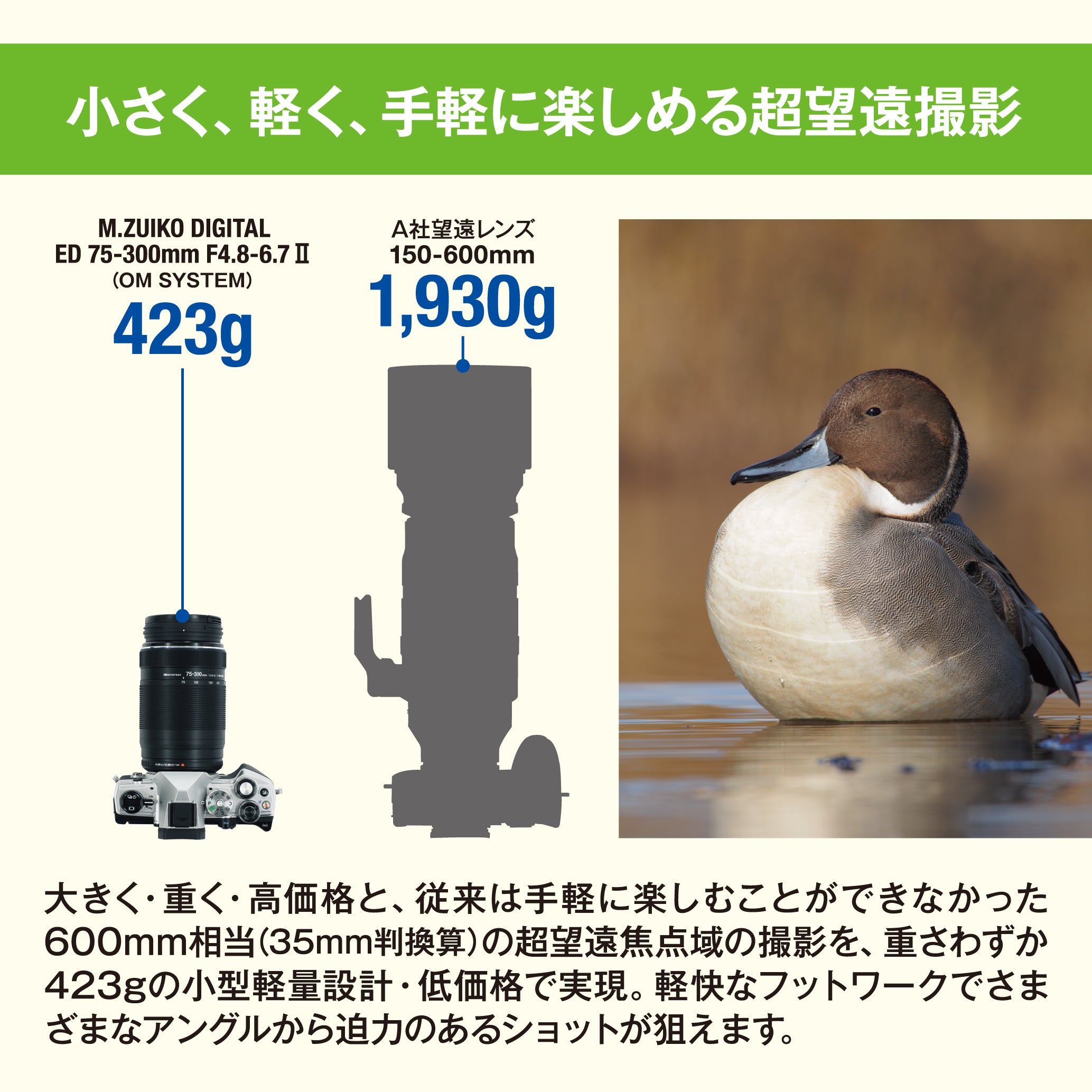 [レンタル] OM SYSTEM M.ZUIKO DIGITAL ED 75-300mm F4.8-6.7 II 超望遠ズームレンズ - 5